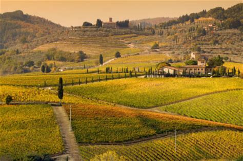 Explore Cooking Classes In Northern Italy Culinary Schools