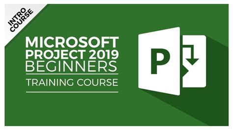 Microsoft Project 2019 Introductory Course Stream Skill