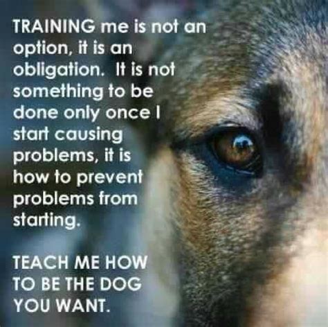 Lucky Dog Training Home Facebook
