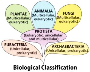 Introduction To Biological Classification