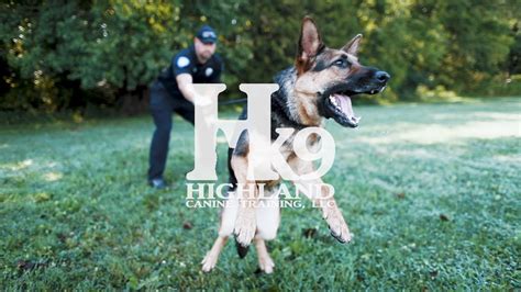 Police K9 Training By Highland Canine Training Llc